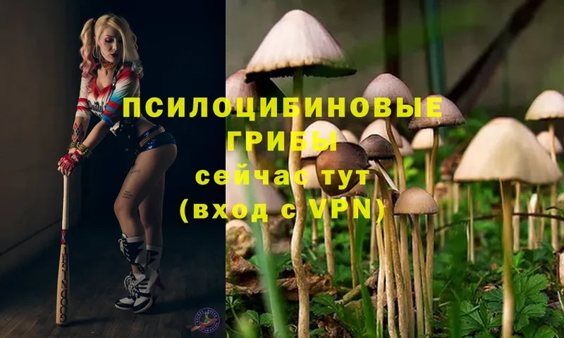 Галлюциногенные грибы Magic Shrooms  Липки 